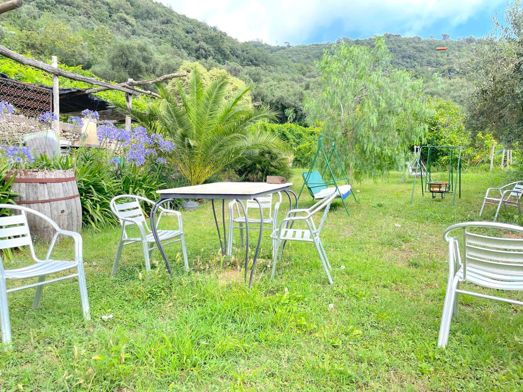 Barilaro