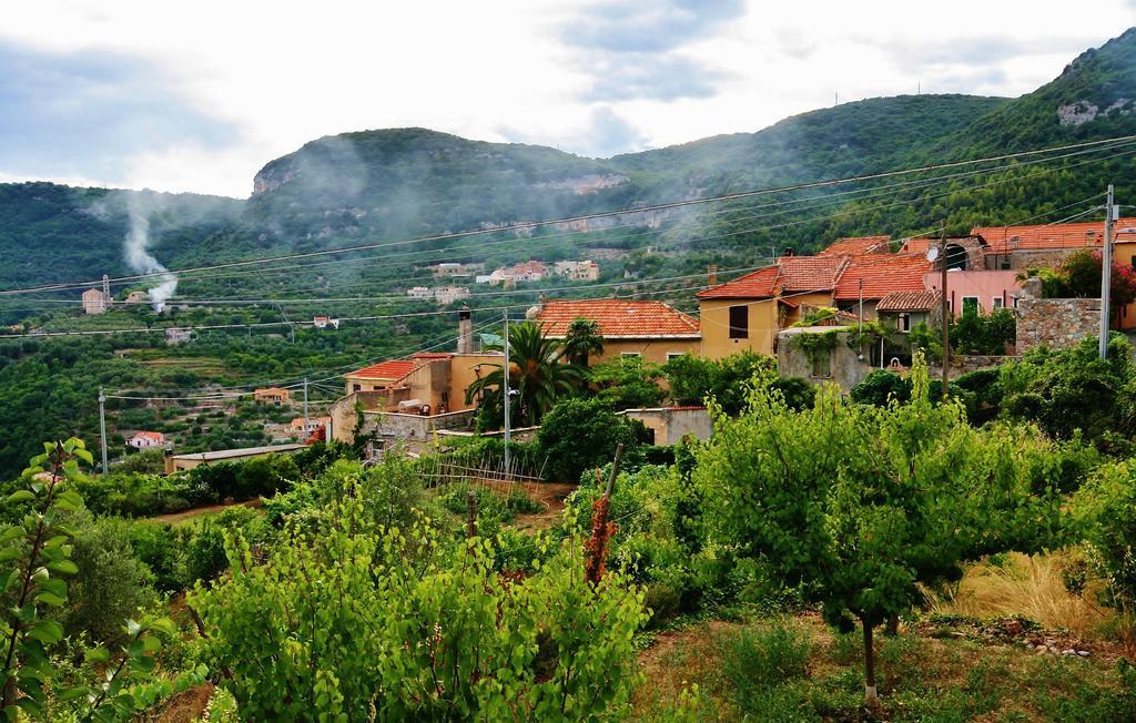 Barilaro Farm stay